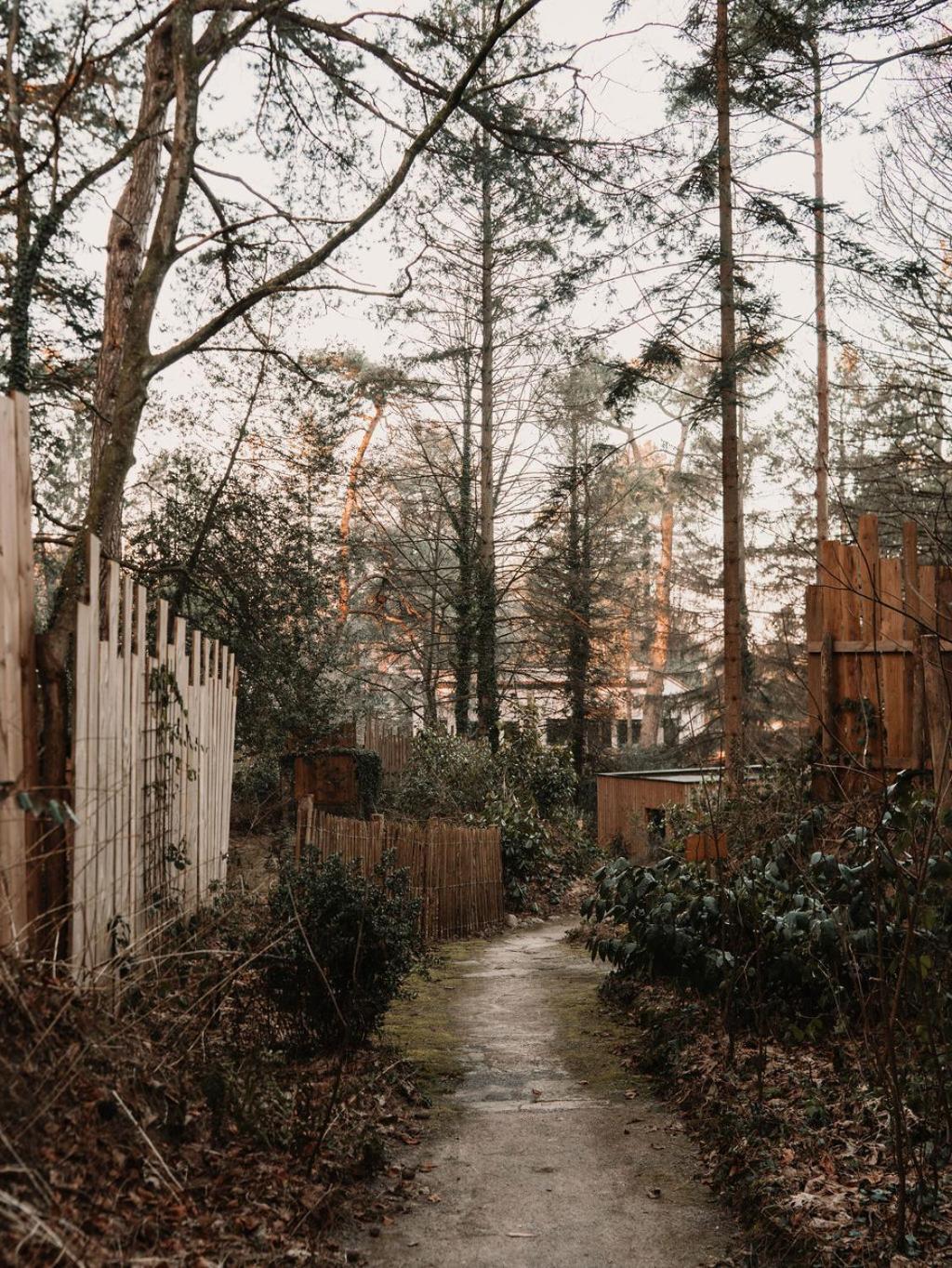 Bain De Foret - Lodges Cosy & Spa นูฟ์ชาเทล-อาร์เดอโลต์ ห้อง รูปภาพ