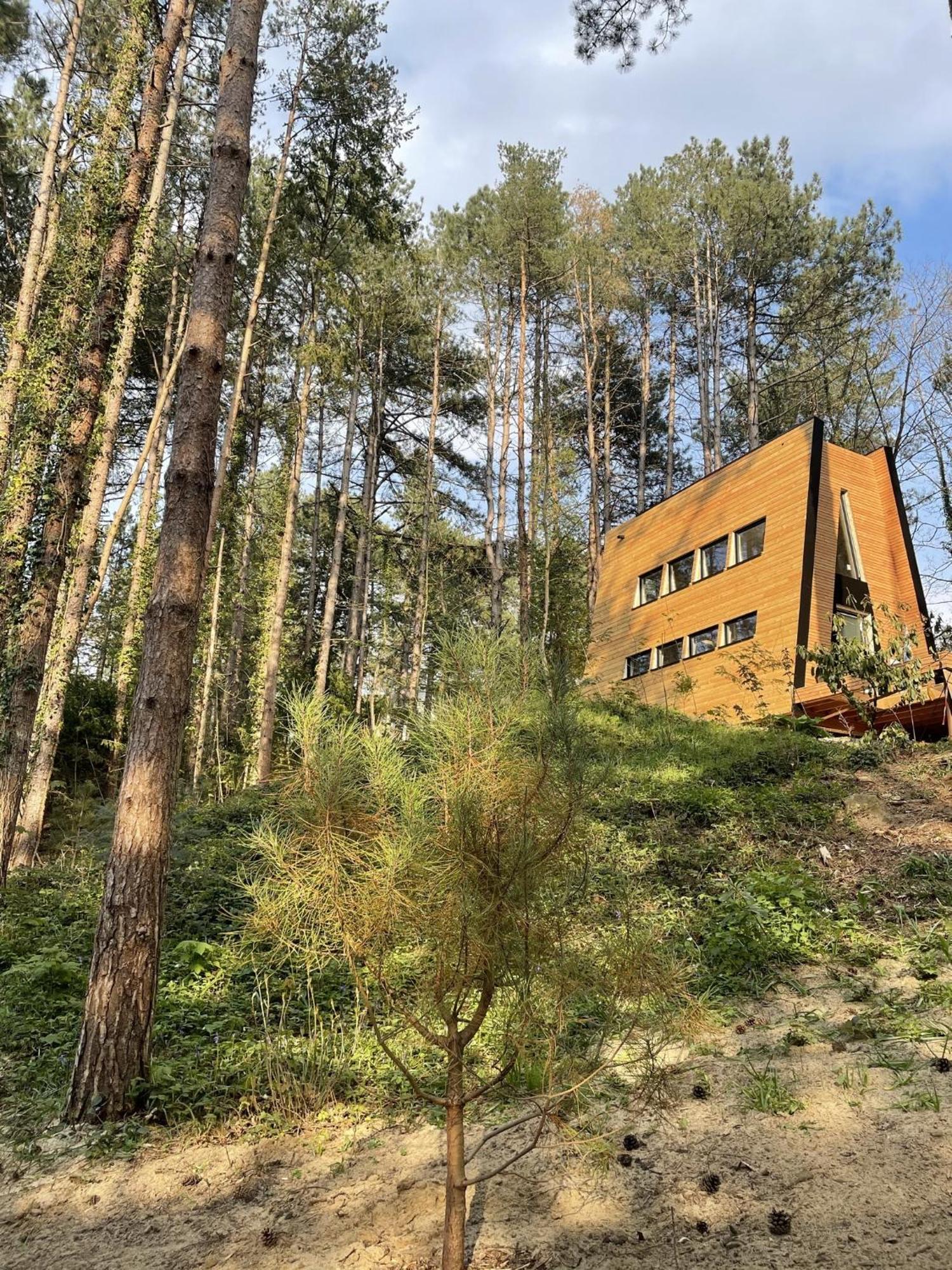 Bain De Foret - Lodges Cosy & Spa นูฟ์ชาเทล-อาร์เดอโลต์ ห้อง รูปภาพ